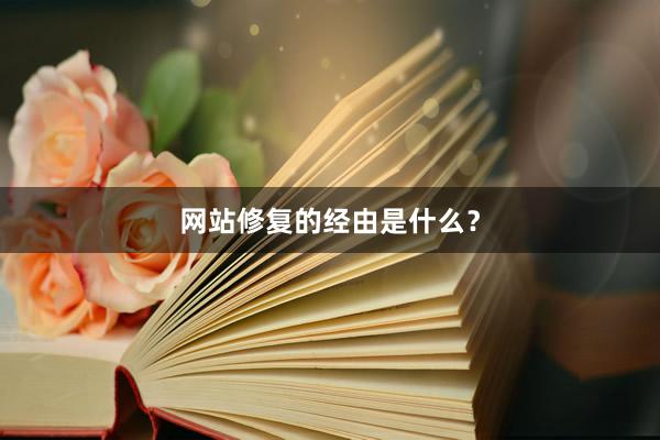 网站修复的经由是什么？