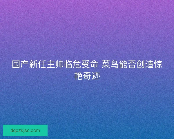 国产新任主帅临危受命 菜鸟能否创造惊艳奇迹