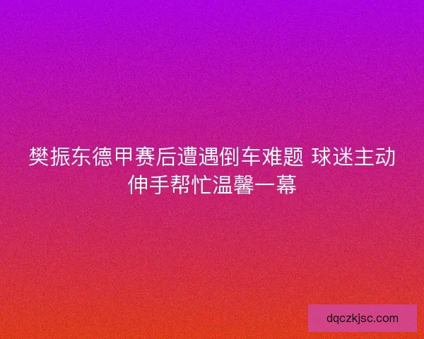 樊振东德甲赛后遭遇倒车难题 球迷主动伸手帮忙温馨一幕